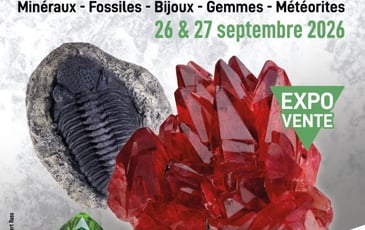 Salon Minéraux et Merveilles - 2ème Édition