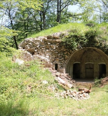 Randonnée entre chiens et loups sur le site de Montfaucon
