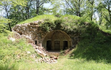 Randonnée entre chiens et loups sur le site de Montfaucon