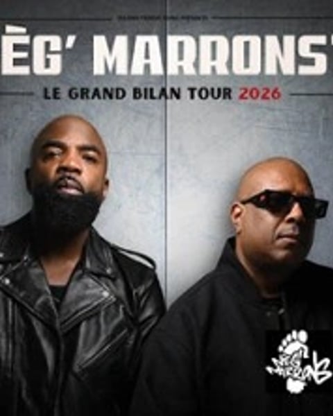 Neg'Marrons, Le Grand Bilan