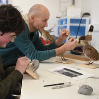 Les secrets de la taxidermie, rencontre-métier