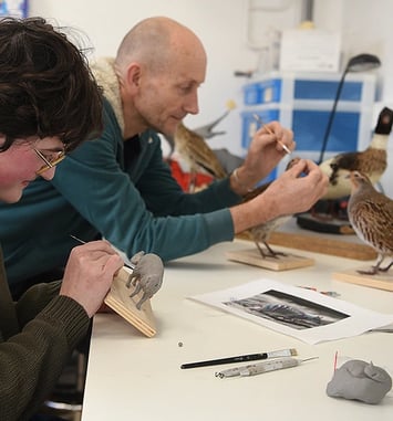 Les secrets de la taxidermie, rencontre-métier