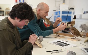 Les secrets de la taxidermie, rencontre-métier