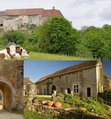 Visite, animations médiévales, combats, saynète.
