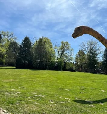 Visite du Parc Dino-Zoo