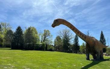 Visite du Parc Dino-Zoo