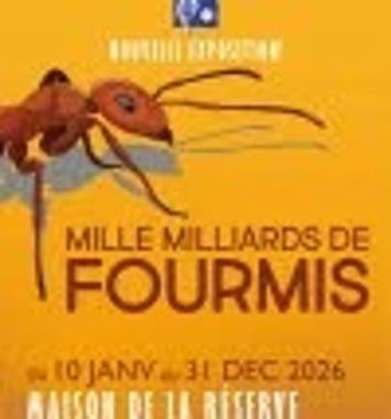 Mille milliards de fourmis