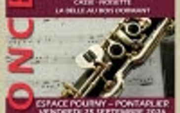 L'orchestre symphonique en scène
