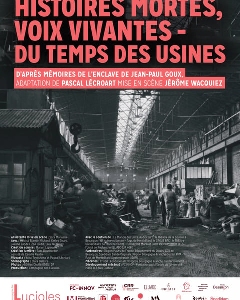 Histoires mortes, voix vivantes : du temps des usines