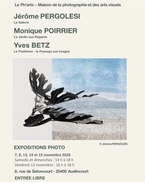Expositions de novembre au Ph'arts