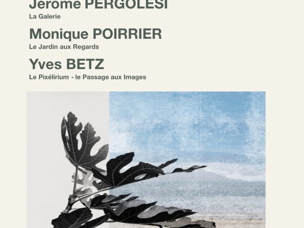 Expositions de novembre au Ph'arts